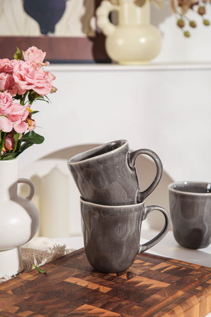 Royal Graphite Organic Mug Set
